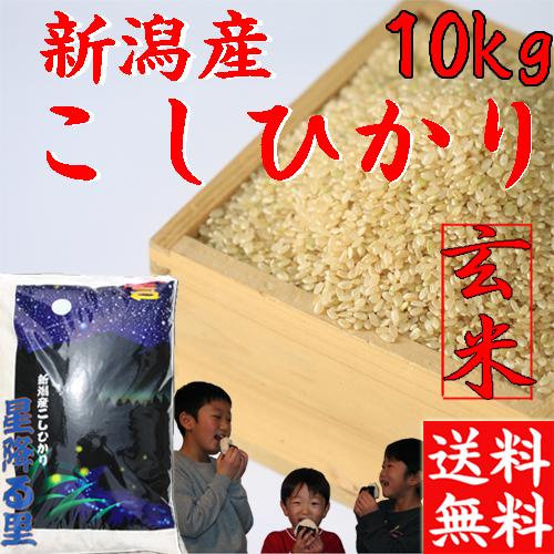 令和6年 10kg このまま食べれる 美味しい玄米 お米 米 10kg 送料無料