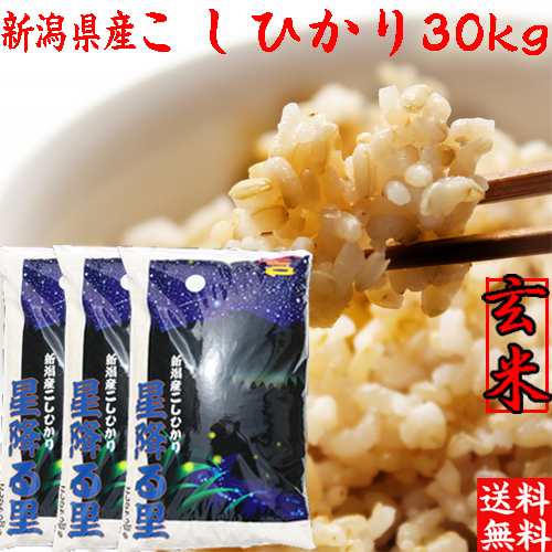 米/穀物コシヒカリ玄米 30キロ - 米/穀物