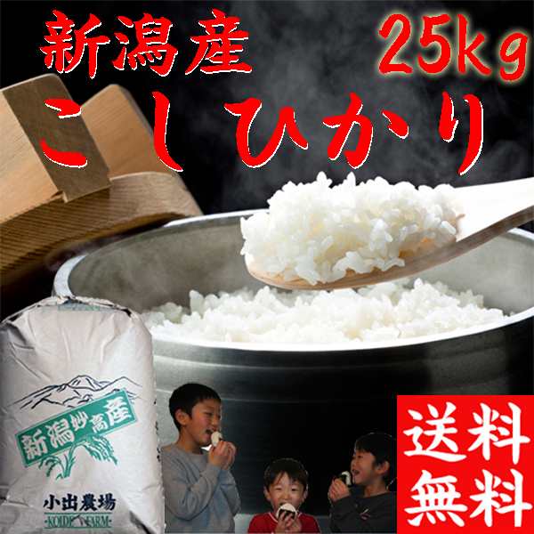 新米 令和5年 新潟産 コシヒカリ 送料無料 25kg 米 お米 新潟県産こしひかり 25キロ 送料無料 お得米 新潟米 コシヒカリ 25kg  《送料無料｜au PAY マーケット