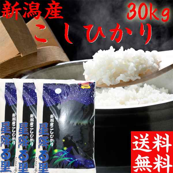 【新米コシヒカリ １等米】30キロ 白米 令和５年産　送料無料