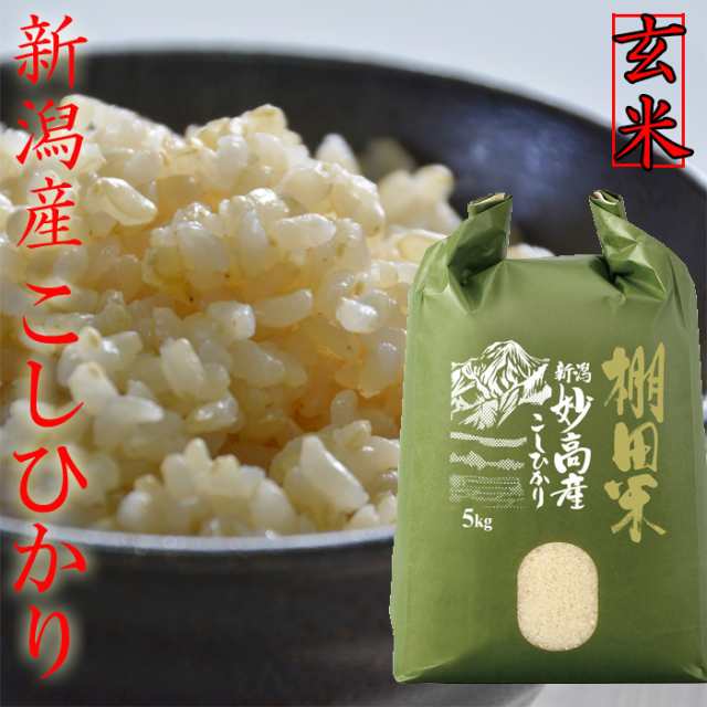 新米 令和5年 新潟産 棚田米 コシヒカリ 玄米5kg お米 玄米 5kg