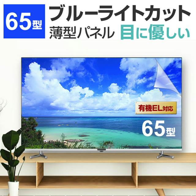 液晶テレビ保護パネル 65型 ブルーライトカット テレビ保護パネル ６５インチ bravia ブラビア viera ビエラ regza レグザ 保護 フィルム 画面 モニター 破損 防止 有機ELテレビ UV 保護 テレビガード 薄型 カバー メール便 送料無料 互換品