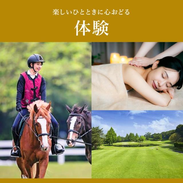 お中元 ギフト カタログギフト 旅行 EXETIME Platinum（エグゼタイム プラチナム）★30個 30万円コース / 送料無料 体験版 内祝い 還暦祝い 退職祝い 誕生日 両親 高級 温泉 旅館 ホテル レストラン グルメ 雑貨 体験カタログ 旅行券 景品 gws お返し 父の日_13