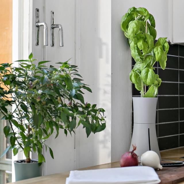 送料無料 スマート水耕栽培キット ボタニアム BOTANIUM 水やり