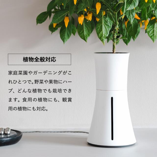 送料無料 スマート水耕栽培キット ボタニアム BOTANIUM 水やり プランター 植木鉢 花 植物 誕生日プレゼント_3