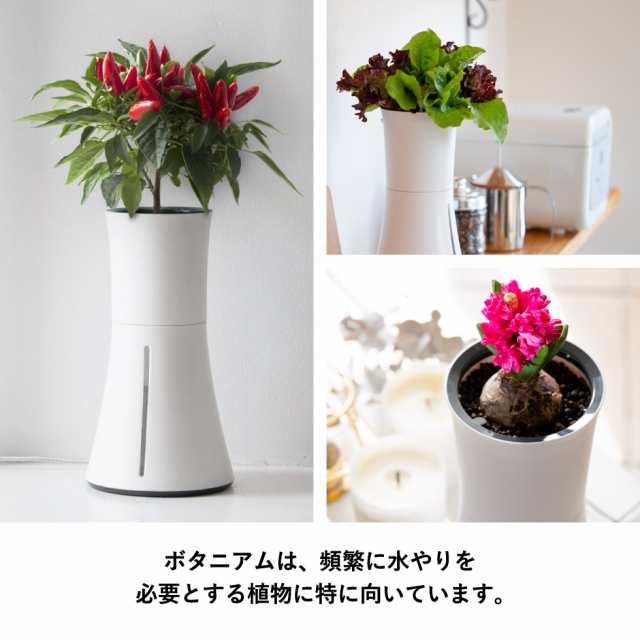 父の日 ギフト スマート水耕栽培キット ボタニアム Botanium P 送料無料 水やり プランター 植木鉢 花 植物 M Kitchen M Healthの通販はau Pay マーケット ソムリエ ギフト