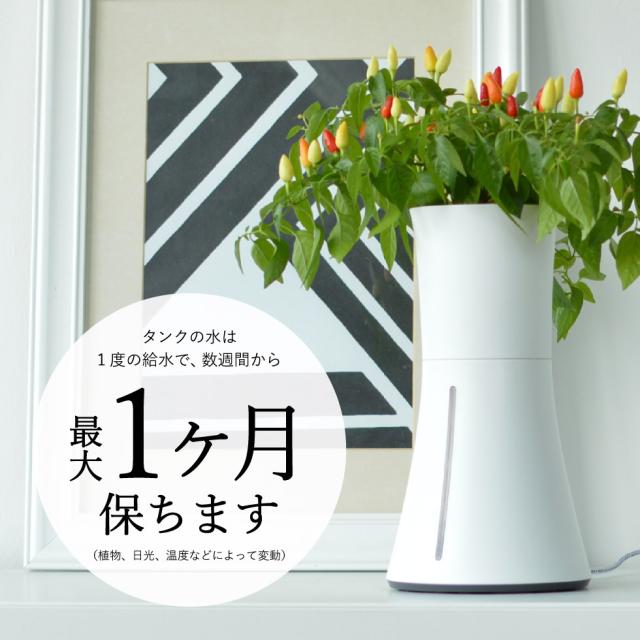 送料無料 スマート水耕栽培キット ボタニアム BOTANIUM 水やり プランター 植木鉢 花 植物 誕生日プレゼント_7