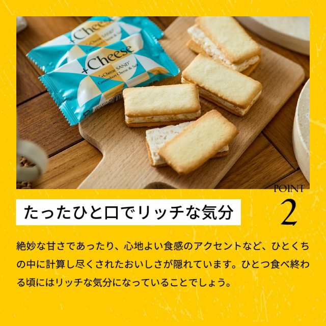 ギフト チーズ味 焼き菓子 詰め合わせ プラスチーズ 16個 送料 ギフト チーズ味 焼き菓子 詰め合わせ プラスチーズ 16個 送料