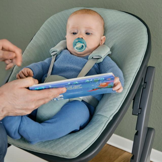 MOJI ニューボーン・ユニット 送料無料 ミント バーチグレー 多機能