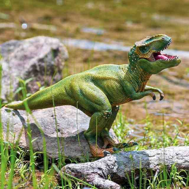 ギフト シュライヒ Schleich 14525 ティラノサウルス・レックス