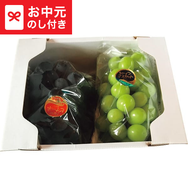 お中元 ギフト 岡山県産 完熟葡萄大粒&amp;大房 シャインマスカット&amp;ニューピオーネ 送料無料 メーカー直送 LTDU / グルメ フルーツ お中元ギフト 2026 御中元 お中元専用 詰合せ 詰め合わせ セット 夏ギフト 贈答品 贈り物 JGS