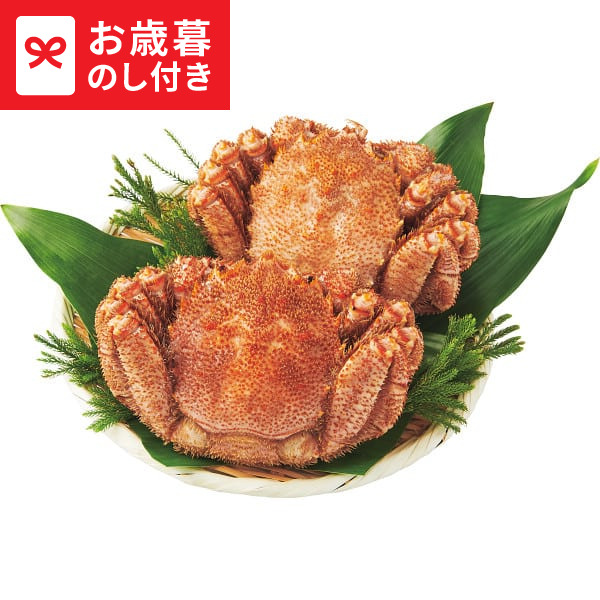 マウンテンバレー カマヒ蜂蜜 500g 3個セット はちみつ ハチミツ