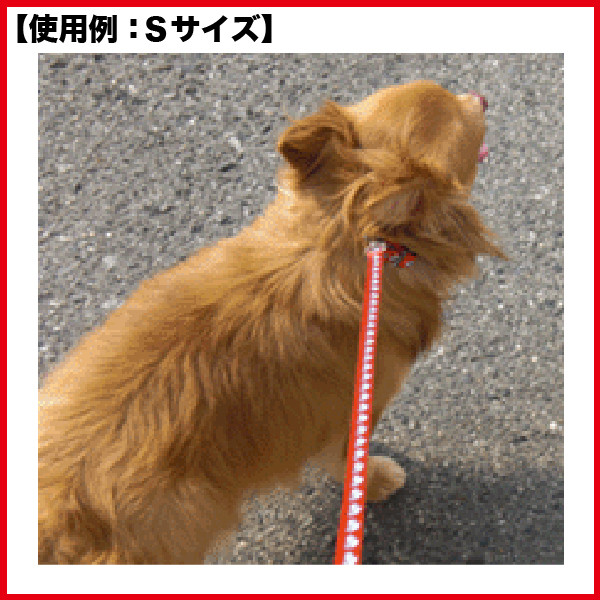 広島東洋カープグッズ ペットリード ｓサイズ 広島カープの通販はau Pay マーケット 野球キングダム