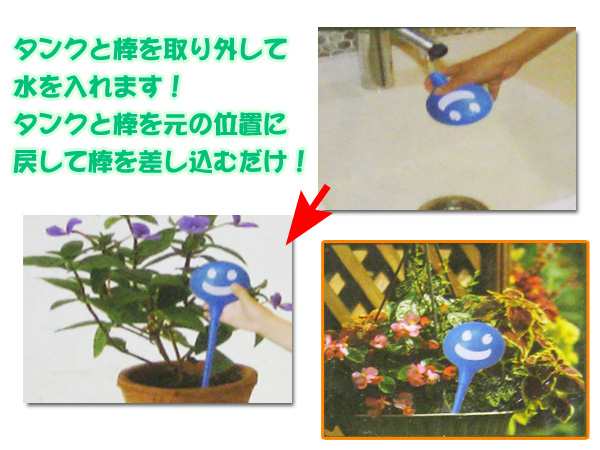 水差し6色セット 観葉植物 鉢植えの通販はau Pay マーケット ドリームストア