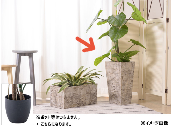 東谷 フェイクグリーン クワイズモ GRN-16 おしゃれ 人工観葉 観葉植物 インテリア 造花 リーフ あずまや メーカー直送 送料無料_4