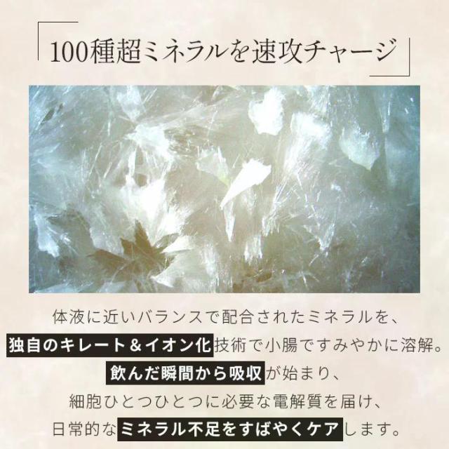 正規販売店 PLAMINE プラミネ コアケア サプリ ミナモト 1箱 15g 30包入 液体タイプ スイカビネガー味 MINAMOTO 日本製 送料無料 税率8%_1