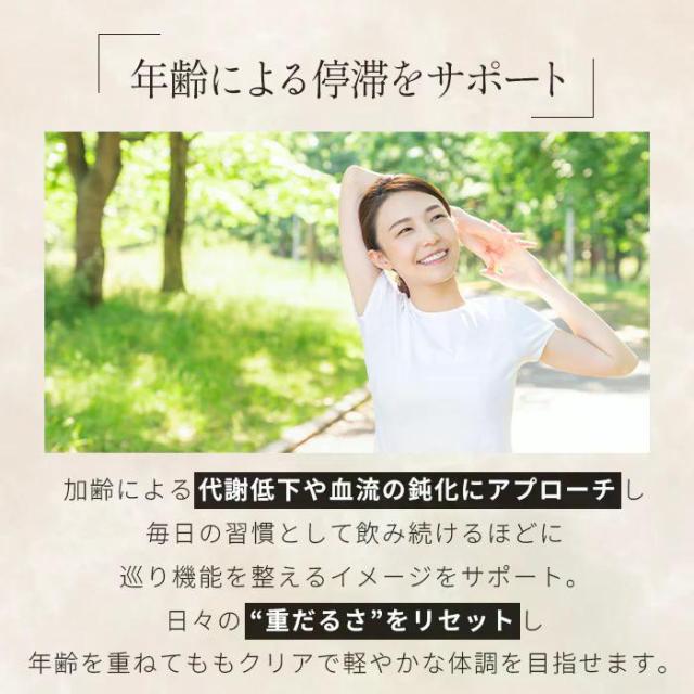 正規販売店 PLAMINE プラミネ コアケア サプリ ミナモト 1箱 15g 30包入 液体タイプ スイカビネガー味 MINAMOTO 日本製 送料無料 税率8%_2