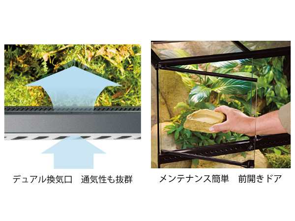 GEX グラステラリウム 4530 PT2603 爬虫類 両生類用品 爬虫類用品