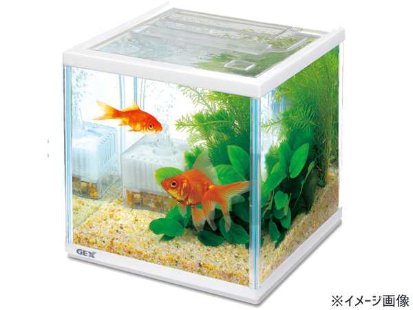 GEX 金魚元気 キューブセット 200 熱帯魚 観賞魚用品 水槽 セット水槽 