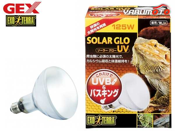 GEX ソーラーグローUV 125W PT2192 爬虫類 両生類用品 爬虫類用品