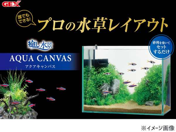 GEX 癒し水景 アクアキャンバス ウッドL 熱帯魚 観賞魚用品 水槽用品