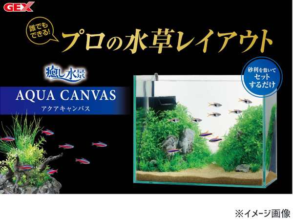 GEX 癒し水景 アクアキャンバス F-L Big 熱帯魚 観賞魚用品 水槽用品
