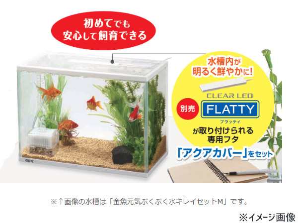 GEX 金魚元気 ぶくぶく水キレイセットS 熱帯魚 観賞魚用品 水槽 セット水槽 ジェックスの通販はau PAY マーケット -  プロツールショップヤブモト | au PAY マーケット－通販サイト