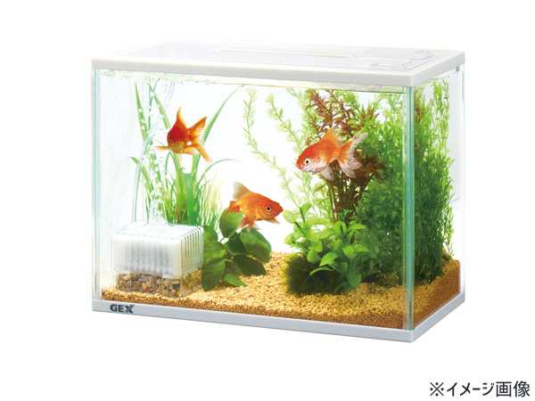 GEX 金魚元気 ぶくぶく水キレイセットS 熱帯魚 観賞魚用品 水槽 セット水槽 ジェックスの通販はau PAY マーケット -  プロツールショップヤブモト | au PAY マーケット－通販サイト