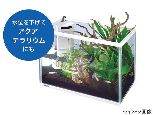 GEX サイレントフィットアルファ300 熱帯魚 観賞魚用品 水槽 セット 