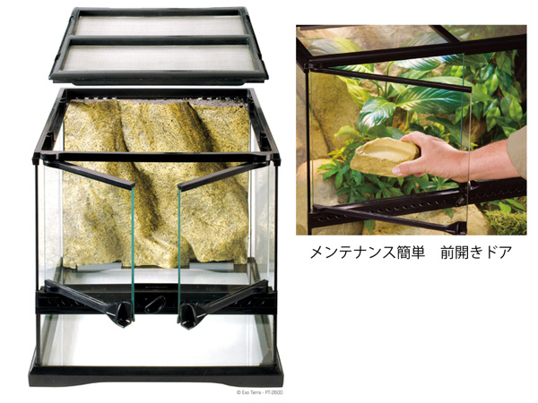 EXOTERRA グラステラリウム 3030 ○飼育セット ジェックス エキゾテラ