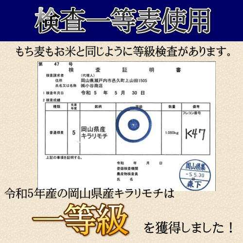 新麦 令和5年産 キラリもち麦 5kg (5kg×1袋) 岡山県産 国産100％ もち