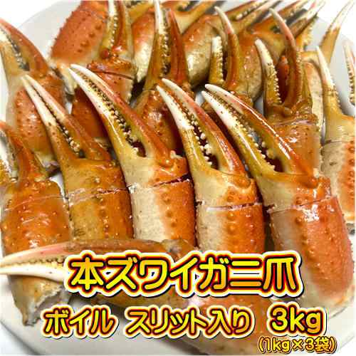 本ズワイガニ爪 ボイル 総重量約3kg (約1kg×3袋) 殻付き スリット入り【北海道・沖縄は配送不可】カニ爪 蟹