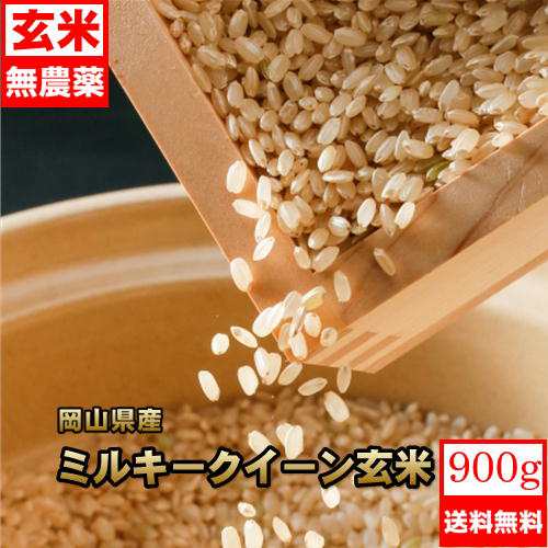 令和5年産 新米 岡山県産 ミルキークイーン玄米 900g 米 お米