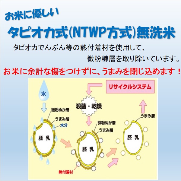 無洗米 令和7年産 あきたこまち 20kg (5kg×4袋) 岡山県産 ブランド米 米 お米 便利な無洗米 送料無料 北海道・沖縄宛配送不可_3