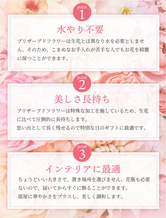 プロポーズ 花束 プリザーブドフラワー ギフト 12本 バラ ローズフレームブーケ 結婚 誕生日 プレゼント サプライズ 婚約 記念日 周年記念 結婚記念日 銀婚式 金婚式 10周年 15周年 開店祝い フラワーアレンジメント フラワーギフト ブーケ_5