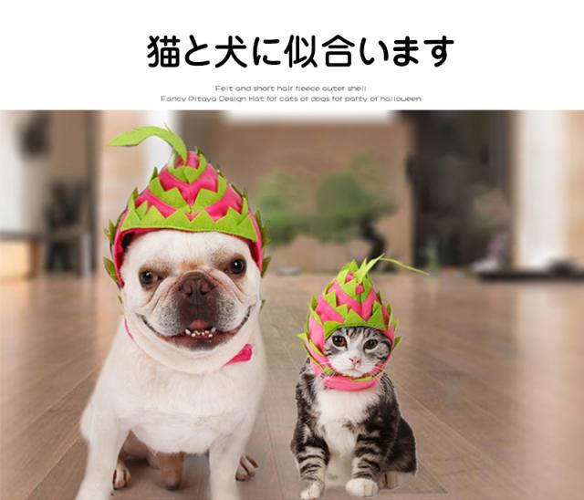 犬用 帽子 猫用 ペット用品 ドラゴンフルーツ ハロウィン コスプレ ペットファッション ドッグウェア 犬の帽子 新年ギフト 可愛い メーの通販はau Pay マーケット 花苑