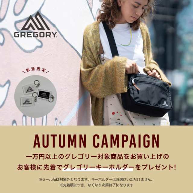 特典あり】GREGORY グレゴリー デイパックの通販はau PAY マーケット