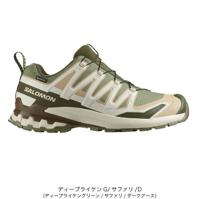 SALOMON サロモン XAプロ3DV9 GTX メンズ