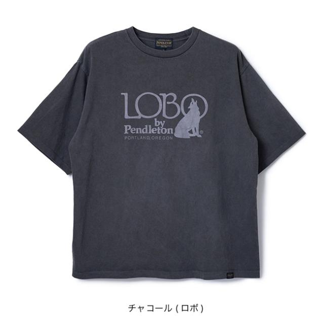 PENDLETON ペンドルトン ピグメントダイTee_8