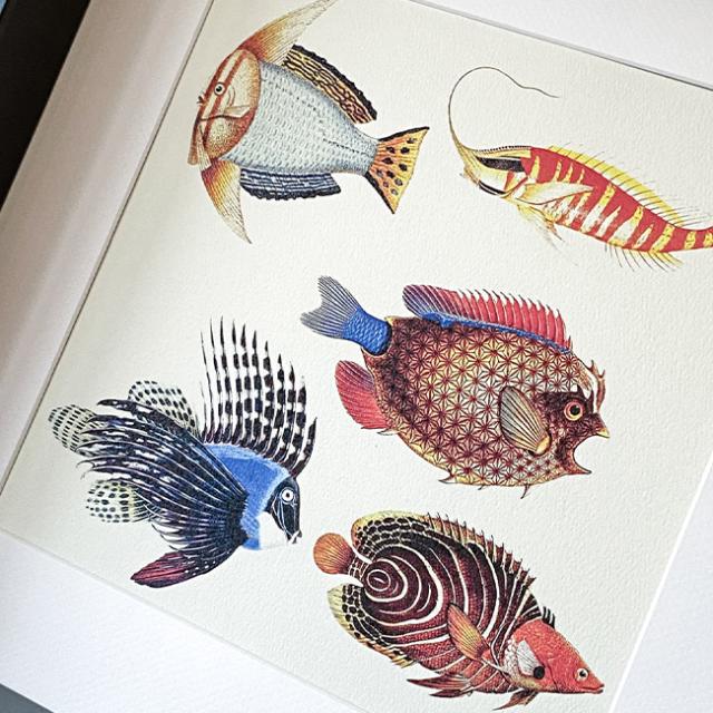 AlexanderLeeChang アレキサンダーリーチャン ドロー&コラージュ 25