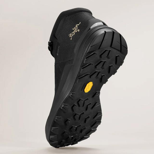 ARCTERYX アークテリクス コペックMID GTX メンズ_4
