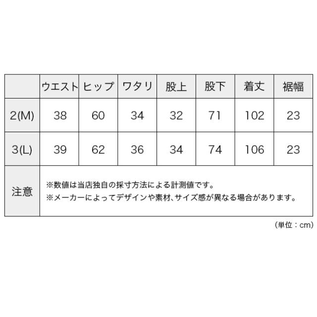 GOLDWIN ゴールドウィン グラミアWFストレートパンツ ユニセックス GL76175_7