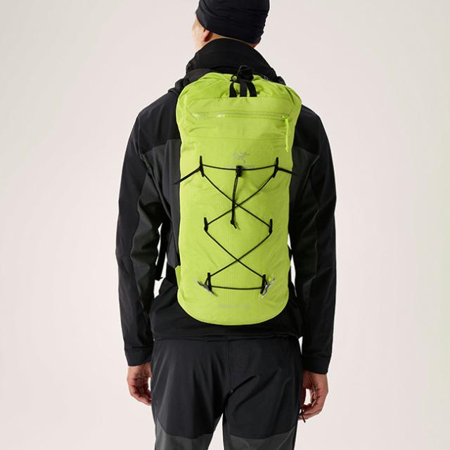 ARCTERYX アークテリクス アルファFL20バックパック_1