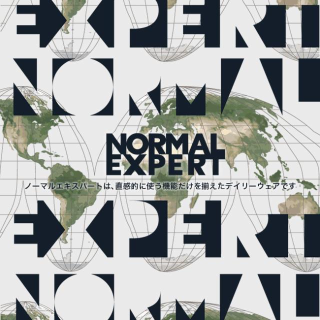 NORMAL EXPERT ノーマルエキスパート 365パンツ タイプ2 26s_NEX24-P06_1