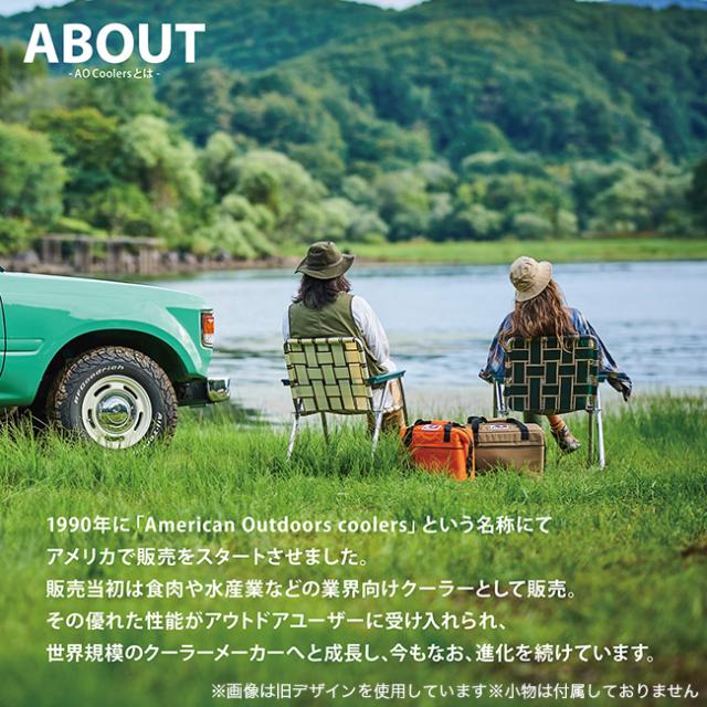 AO Coolers エーオークーラーズ 24パック カーボン ソフトクーラー AOCR24BK_1