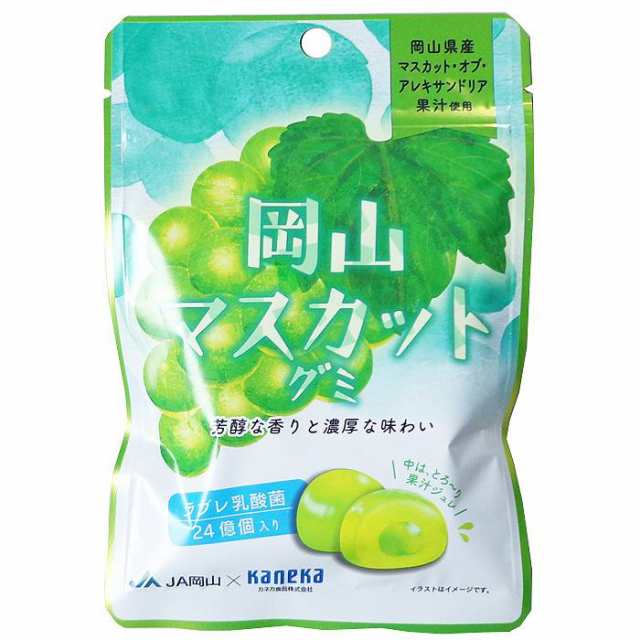 6袋セット販売 グミ 乳酸菌入り 岡山マスカットグミ カネカ食品 美味しい スッキリ 芳醇な香り 濃厚な味わい さわやかな味わい 果汁ジュ