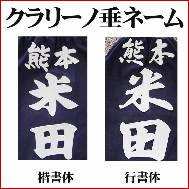 剣道試合 垂れゼッケン クラリーノ垂用ゼッケン オーダー製品 3 5日発送可能 剣道着 防具 竹刀 小手なら武道園 の通販はau Pay マーケット 武道園