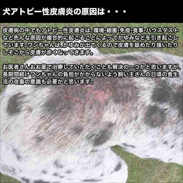 200以上 犬 湿疹 薬 276777犬 お腹 湿疹 薬 gbrapixakumo