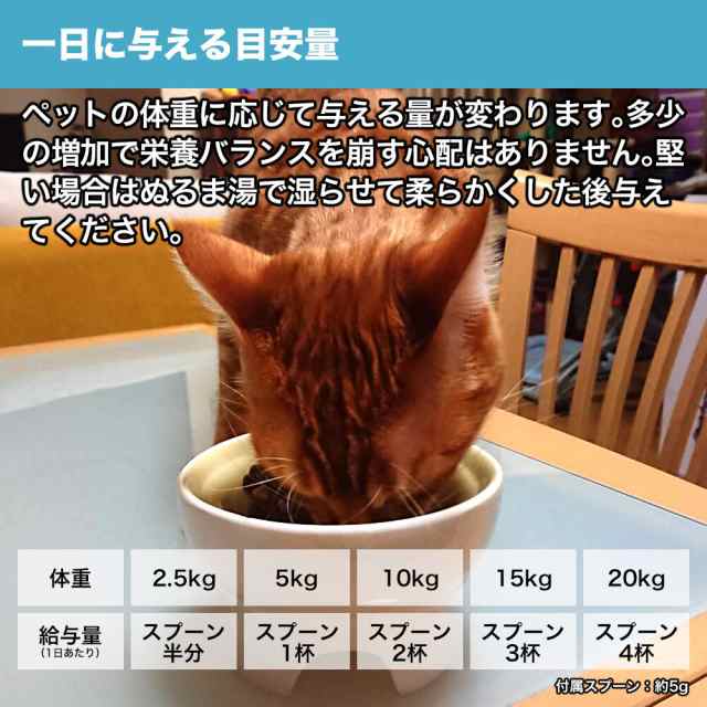 ワンスプーンプレミアム ONE SPOON PREMIUM 30g お試し用ワンコインセット ゆうパケット 送料無料 犬・猫用サプリ 国産発酵エキス  納豆菌の通販はau PAY マーケット - ジオマート au PAY マーケット店