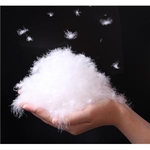 ダウンコート きれいめ 40代 50代 60代 Lサイズ 防寒性 内側ファスナー